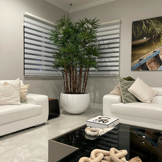 Trees and Plants White Terragona Planter with Lady Palm