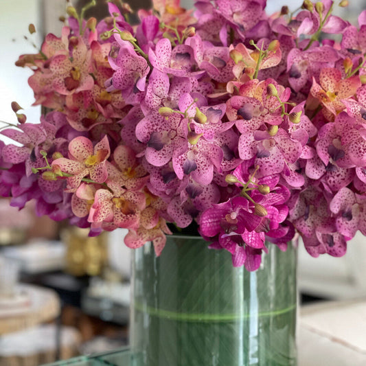 Mixed Mokara Orchids in Oversized Rota Cylinder