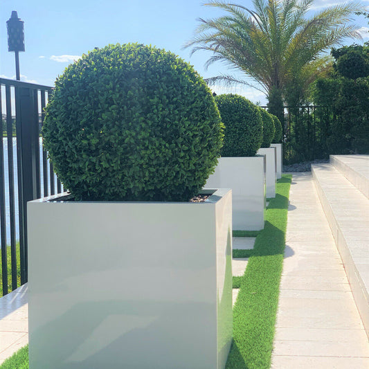 Large Block Fiberglass Planter with 20′′ Topiary