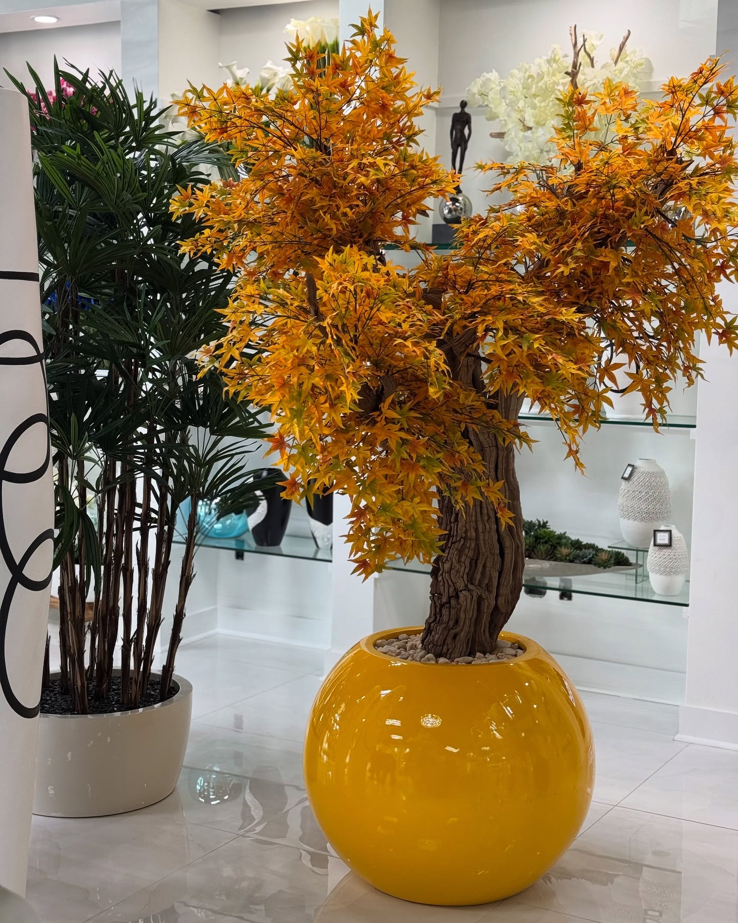 Golden Maple Tree in Dax L Glossy Yellow Planter