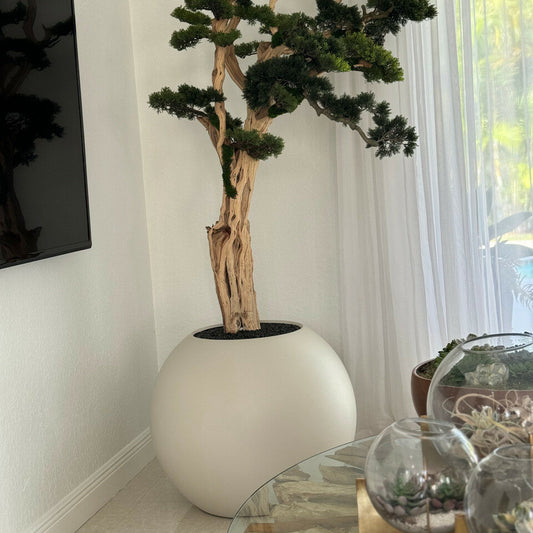 Trees and Plants Trailing Bonsai in 30 Satin Beige Globe