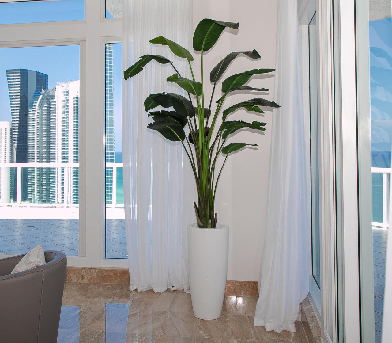 9 ft Bird of Paradise with XL Dax Planter
