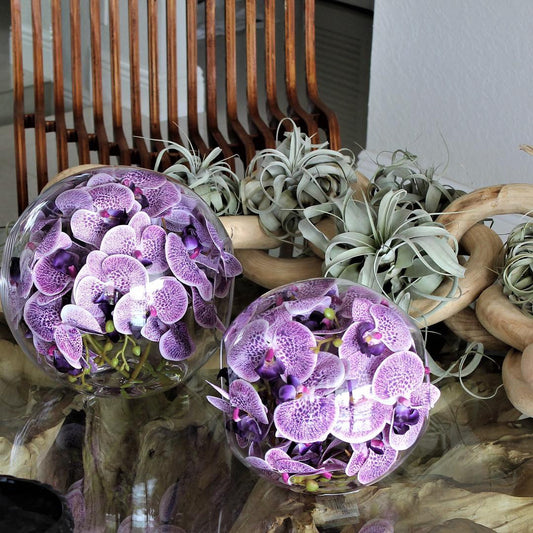 10″ Crosswinds vase with purple orchids