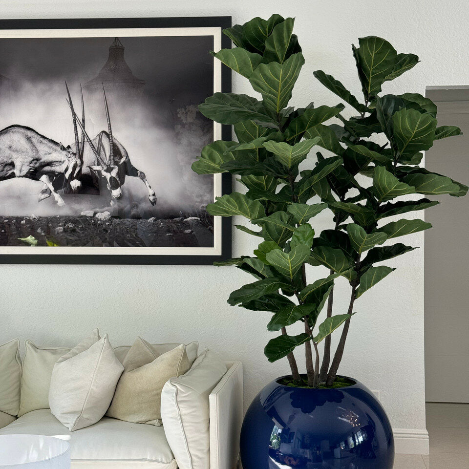 Most Popular Blue Globe Planter with Fiddle Tree
