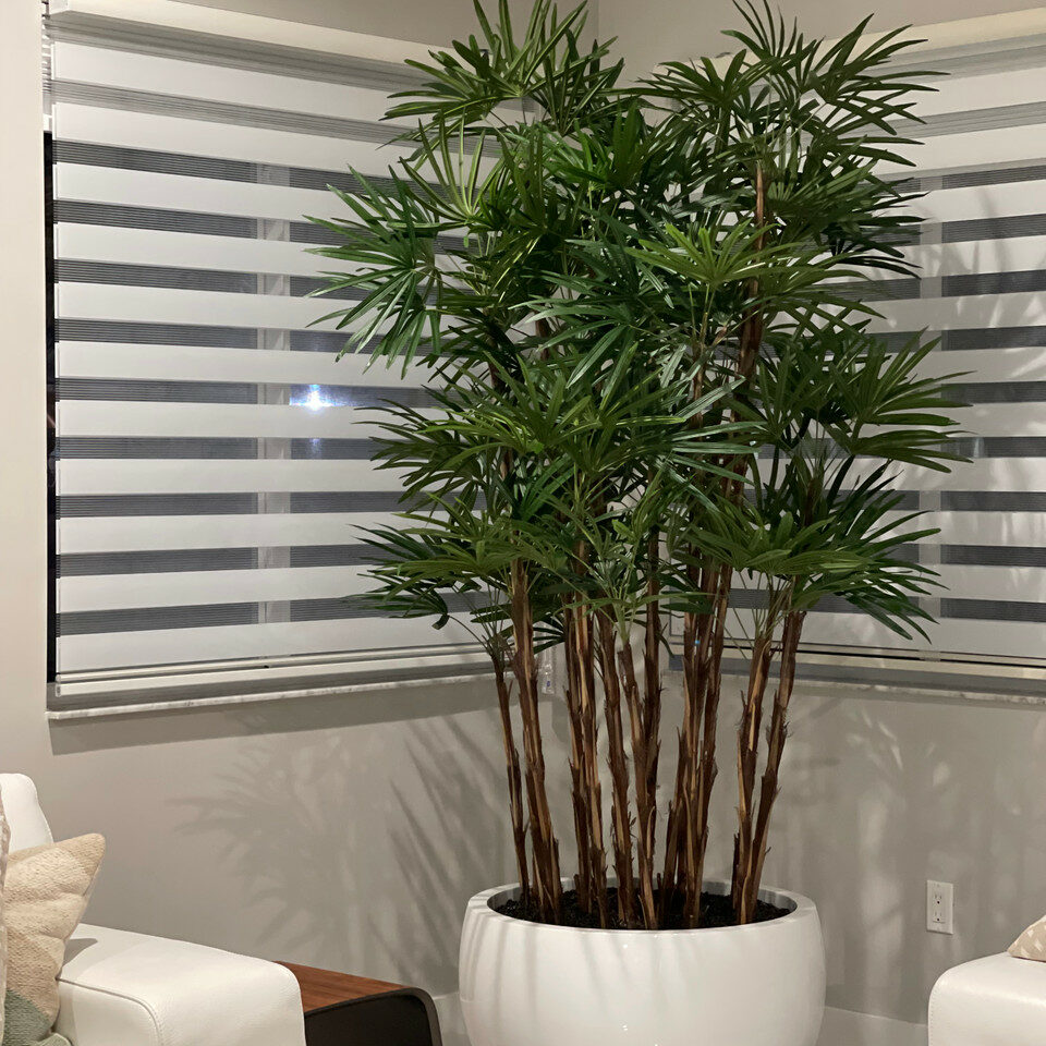 Trees and Plants White Terragona Planter with Lady Palm