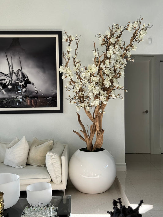 White Magnolia Tree in 30′′ Glossy White Globe Planter