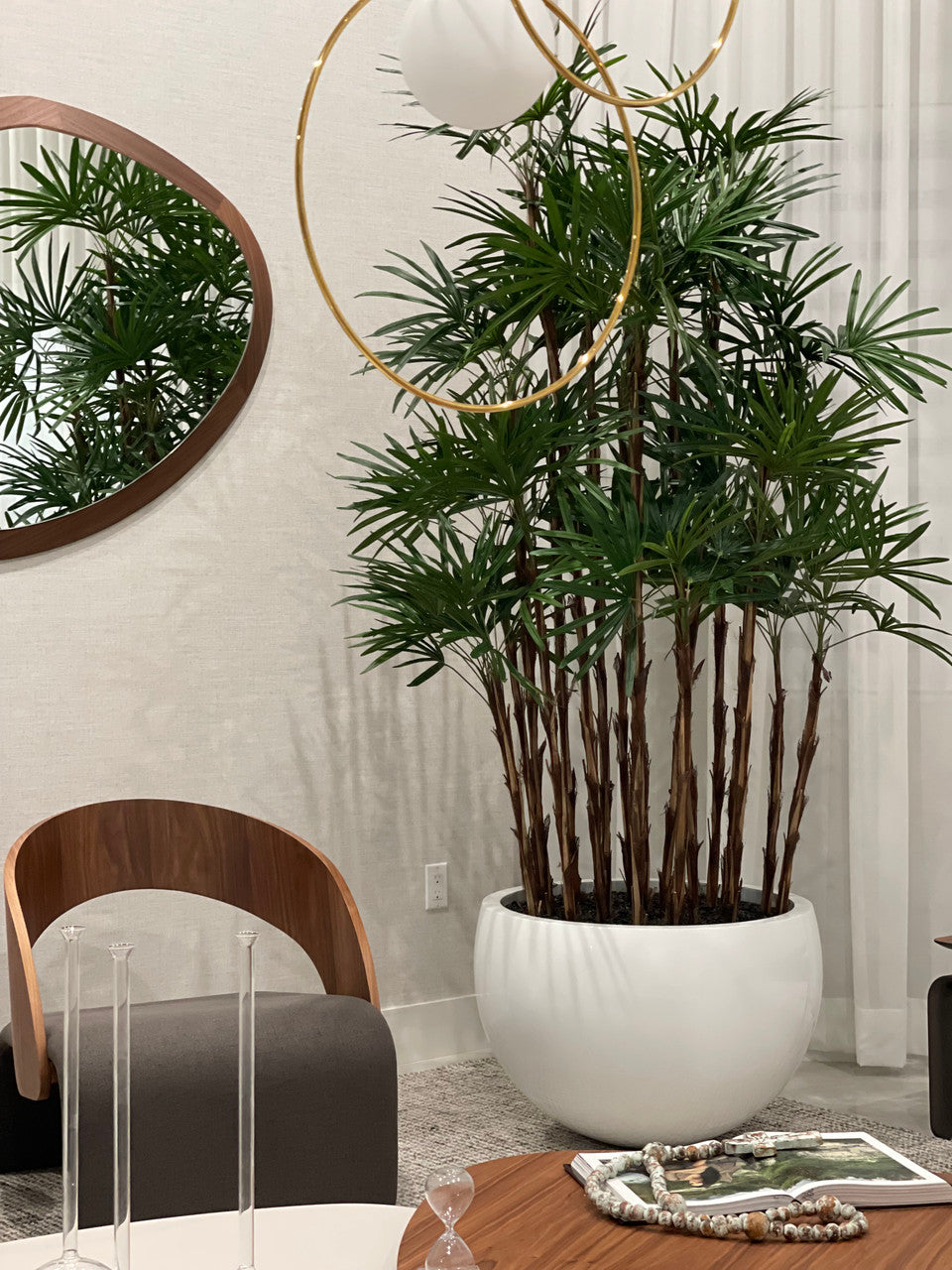 White Terragona Planter with Lady Palm