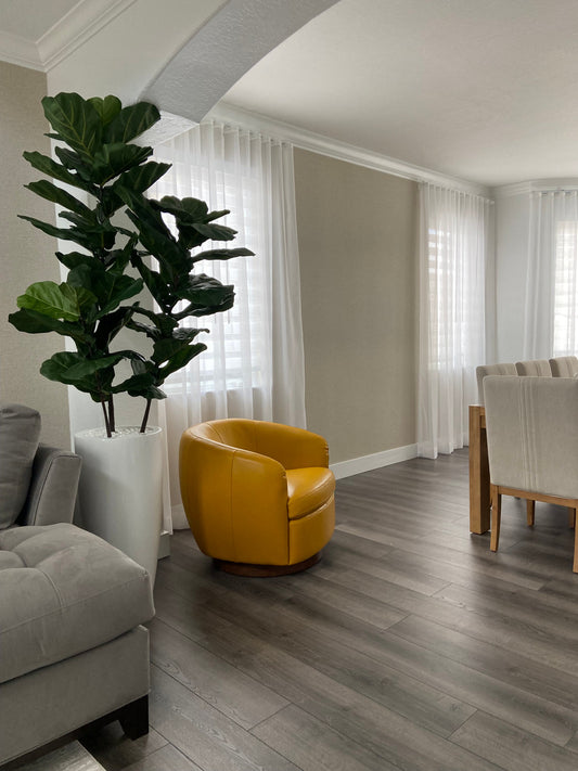 Fiddle Leaf Tree with Dax L Glossy White Fiberglass Planter