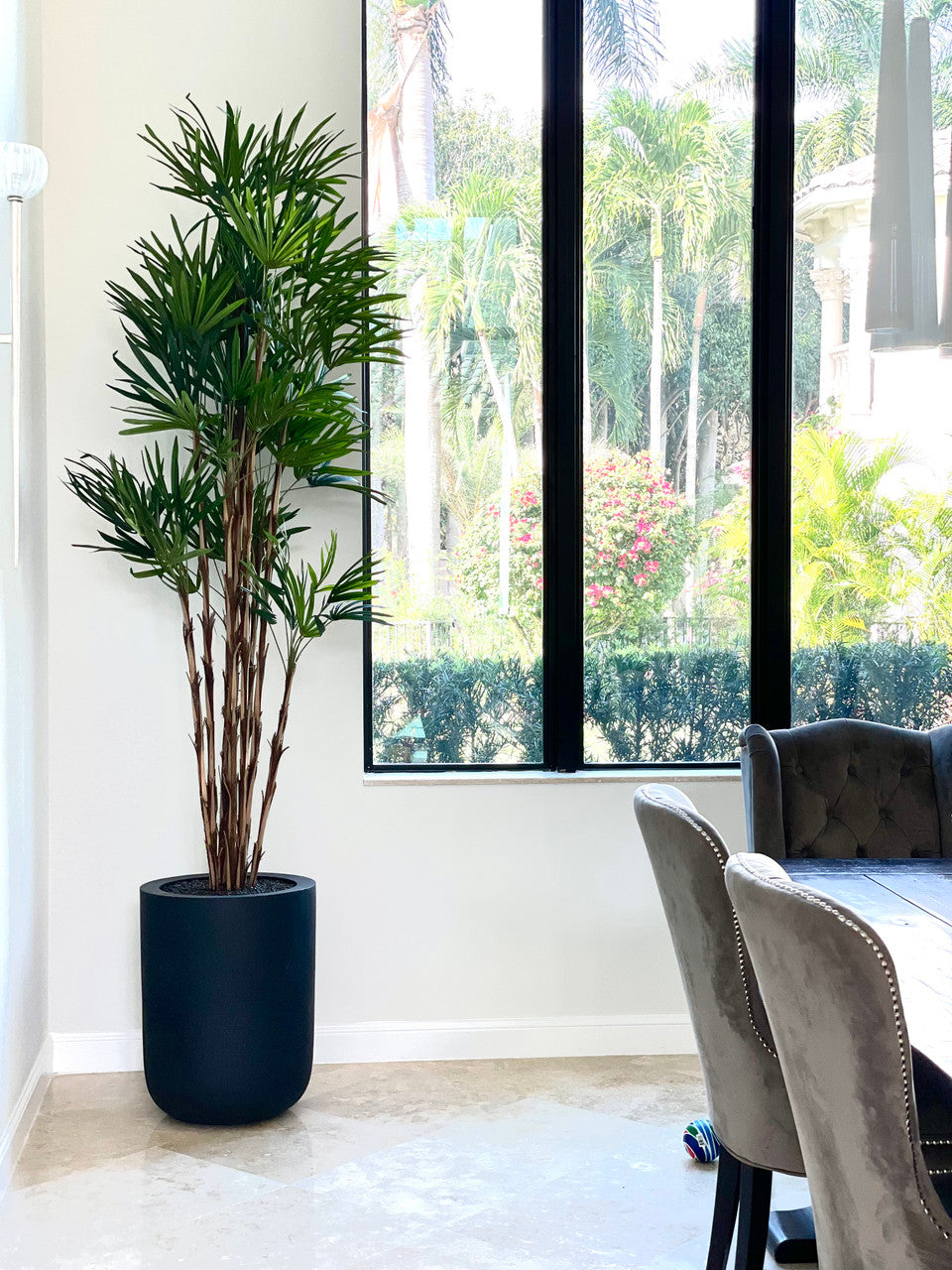 Lady Palm in XL Dice Planter