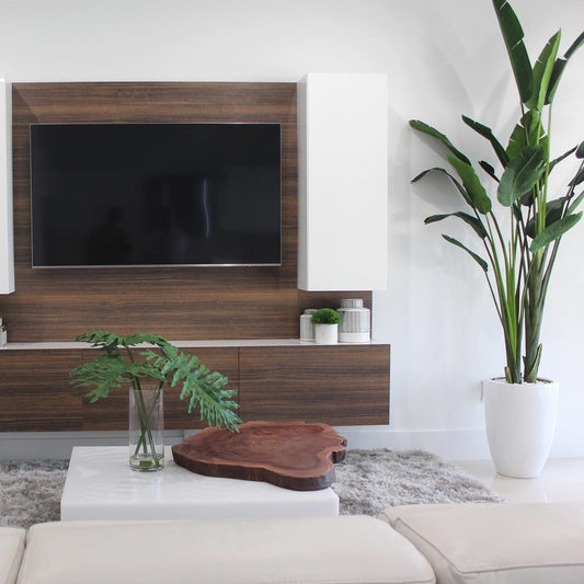 9 ft Bird of Paradise with Ben Planter in Glossy White