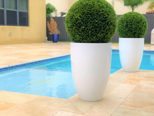 Ben L Fiberglass with 20″ Topiary