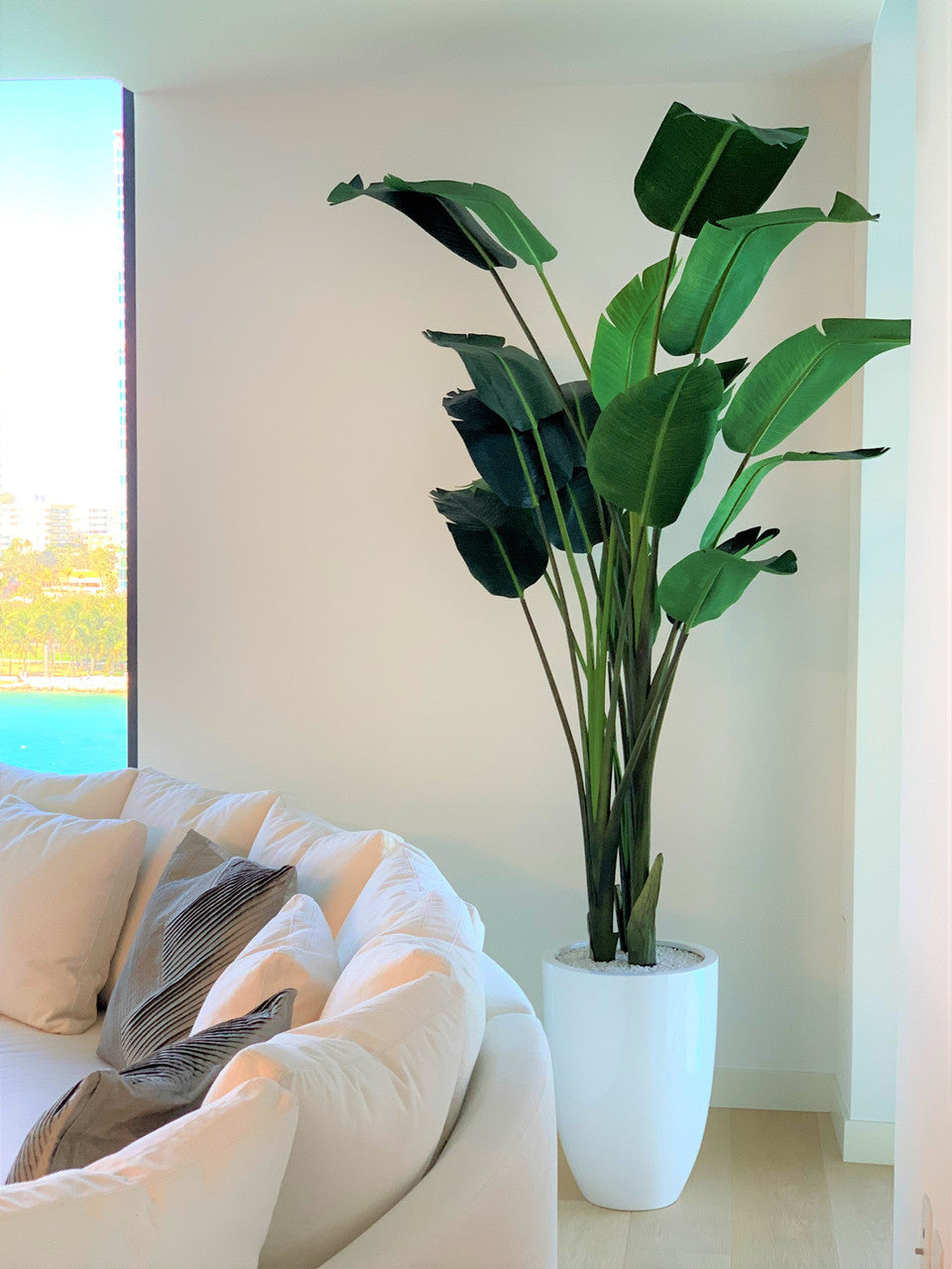 9 ft Bird of Paradise with Ben Planter in Glossy White