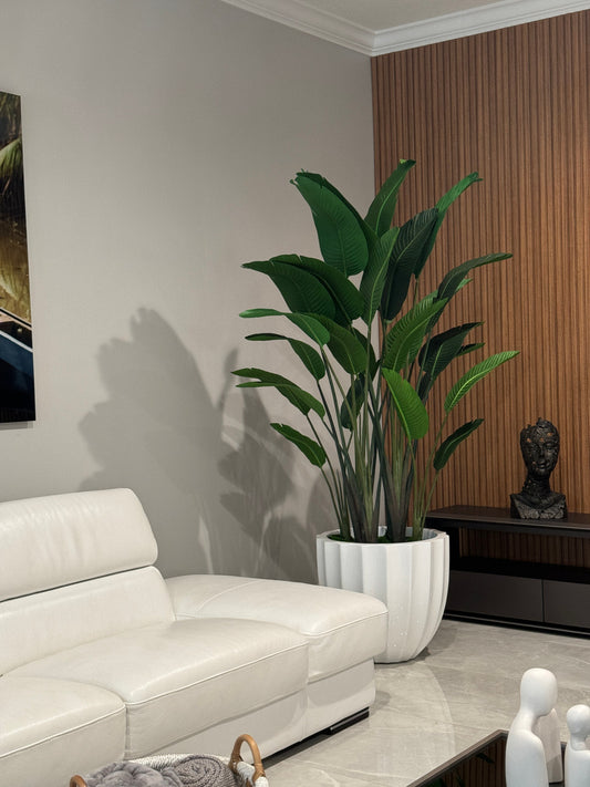 Santa Barbara Planter with Bird of Paradise
