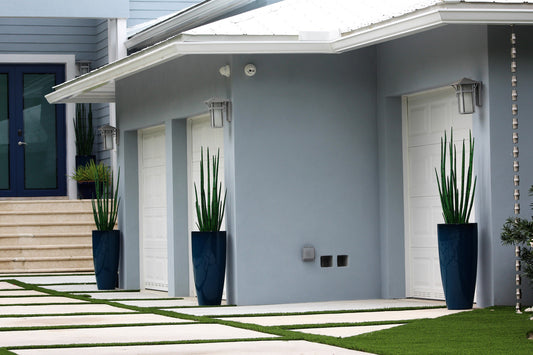 Snake grass (4 ft) with Dax L planter in dark teal
