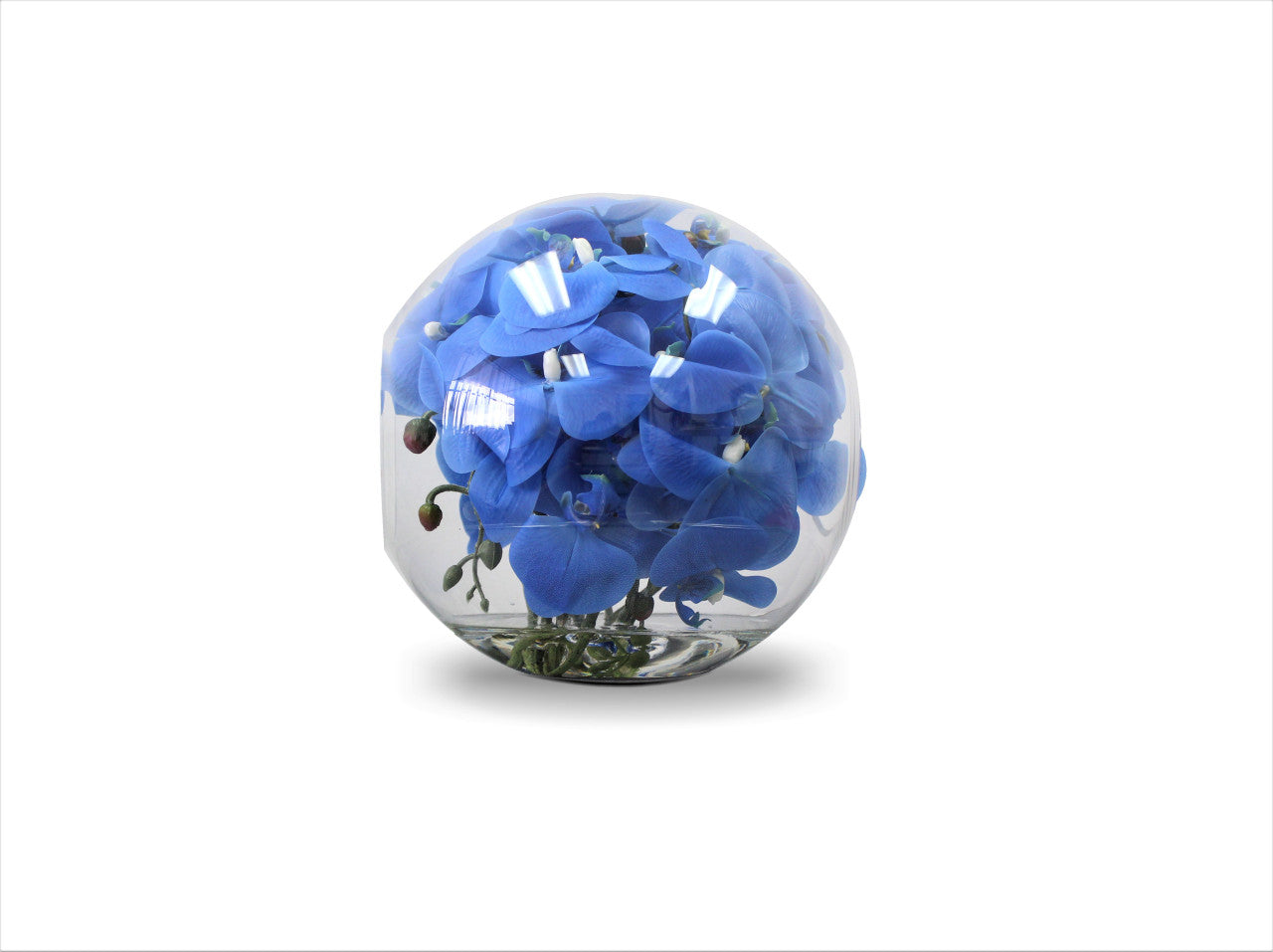 Vase Crosswinds de 30 cm avec orchidées bleues