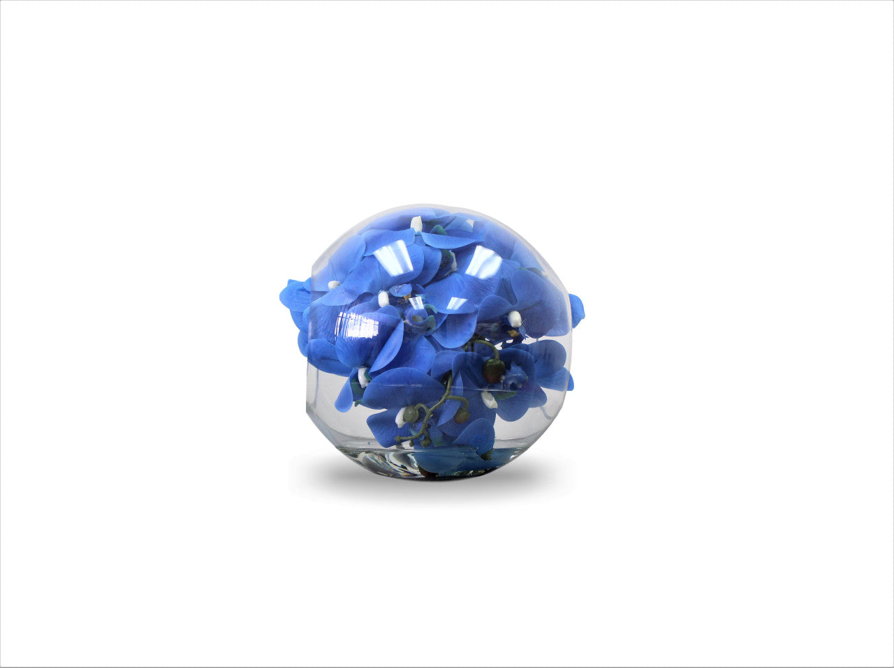 Vase 10″ Crosswinds avec orchidées bleues