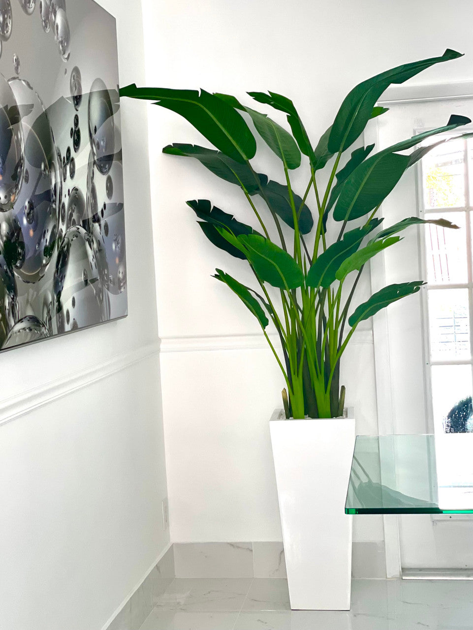 9 ft Bird of Paradise with Medium Beau Planter in Glossy White