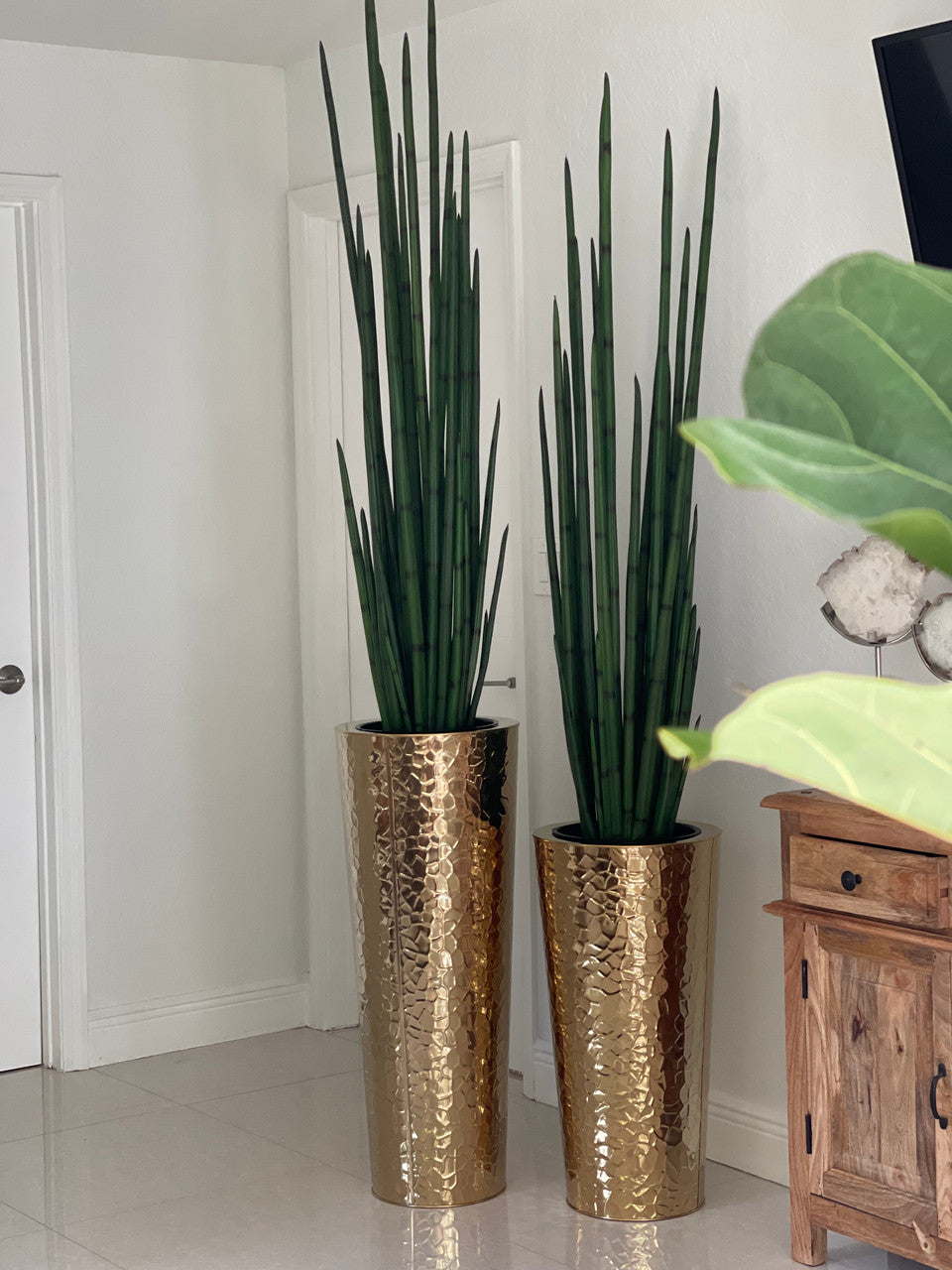 Gold Hammered Stainless Steel Tapered Cone with Large Snake Grass Plant