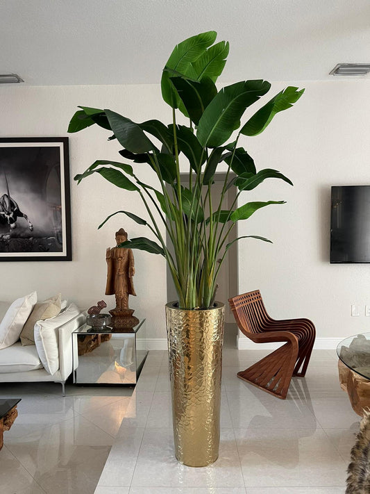 Gold Hammered Planter with Bird of Paradise (7′)