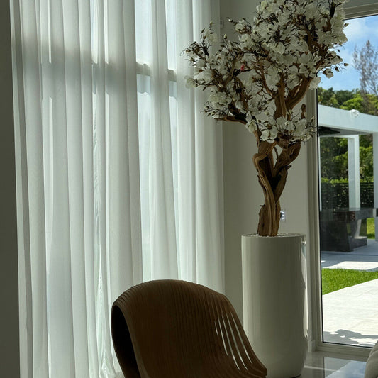 Most popular 10ft white magnolia tree in glossy beige st tropez planter