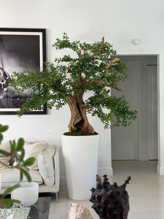 Artificial Black Olive Bonsai Tree in Glossy White Belle Planter