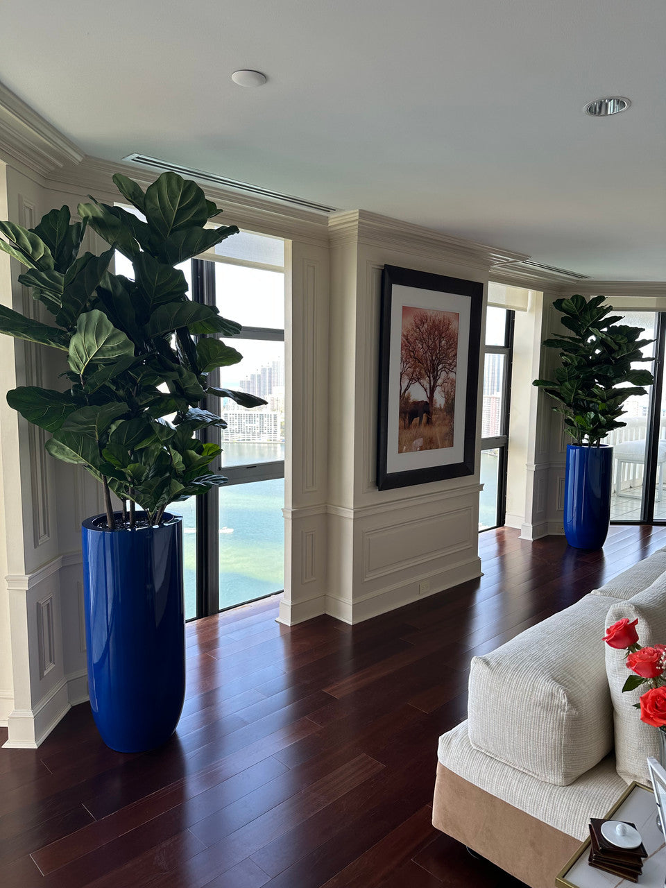 Fiddle Leaf Tree with Glossy Cobalt Blue St. Tropez Planter