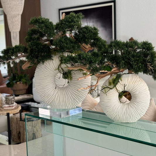 Large Eternity Vase with Trailing Bonsai Tree and Driftwood