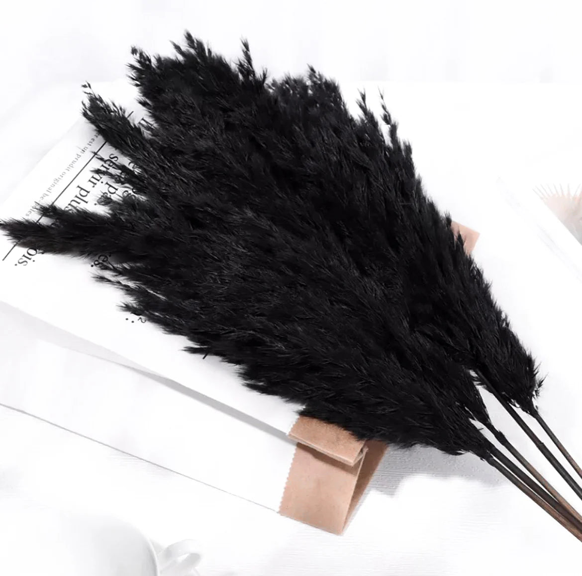 NOIR DUVETEUX - HERBE DE LA PAMPA NOIRE - DÉCORATION D'INTÉRIEUR - FLEURS SÉCHÉES