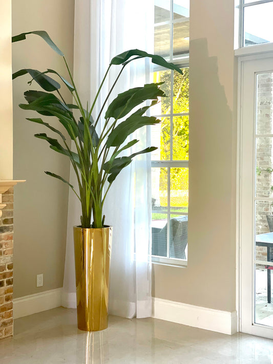 Gold Cone Planter with Bird of Paradise (7′)
