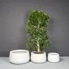 Short Hayden Round Planter