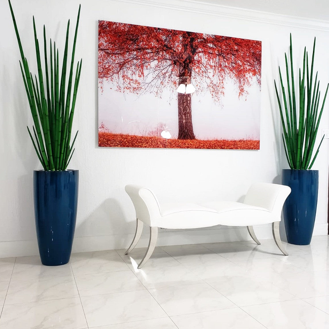 Snake grass (63″) with Dax L planter in dark teal