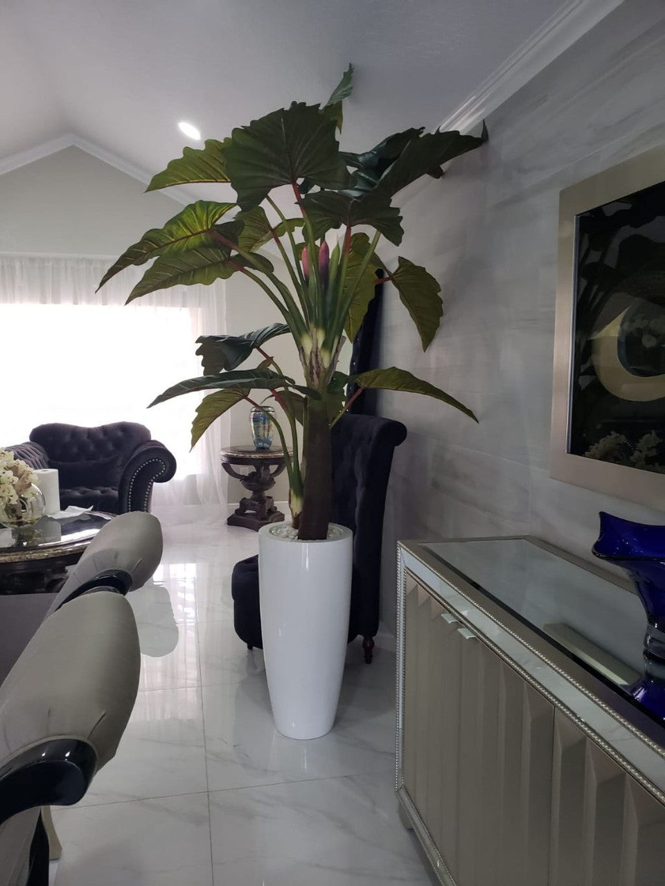 Red Prince Alocasia in Dax L glossy white planter