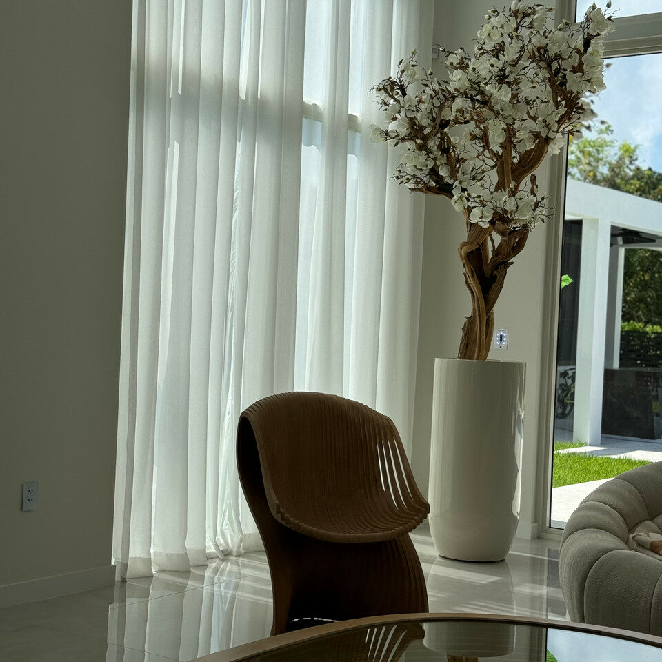 Most popular 10ft white magnolia tree in glossy beige st tropez planter