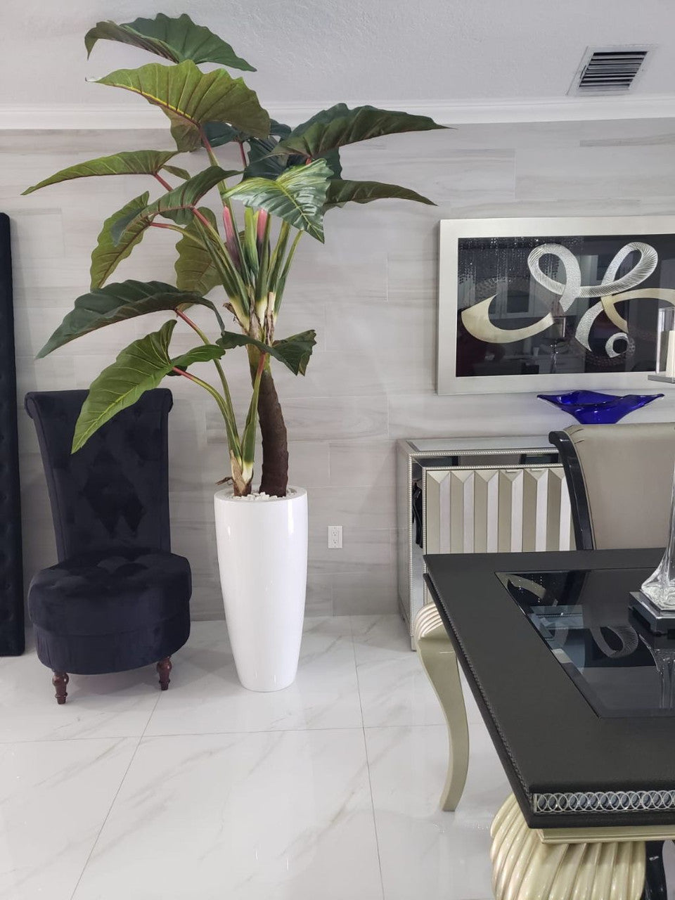 Red Prince Alocasia in Dax L glossy white planter