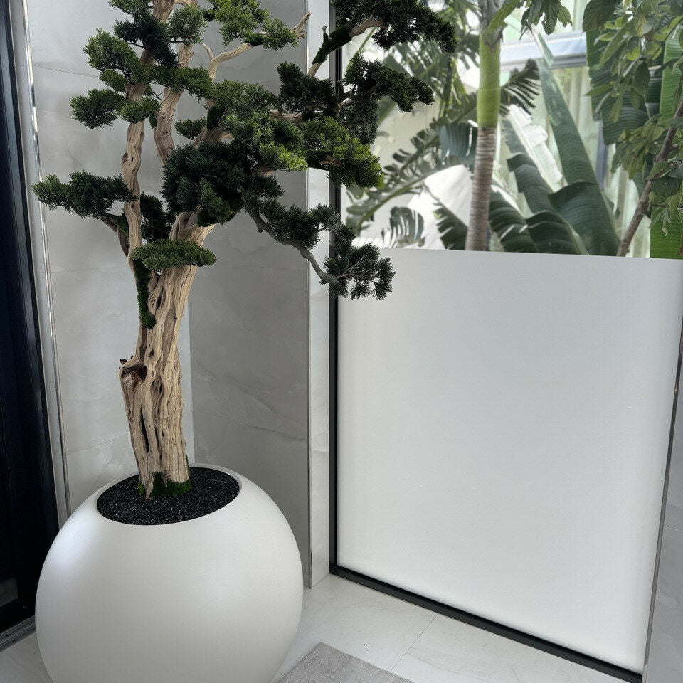 Trees and Plants Trailing Bonsai in 30 Satin Beige Globe