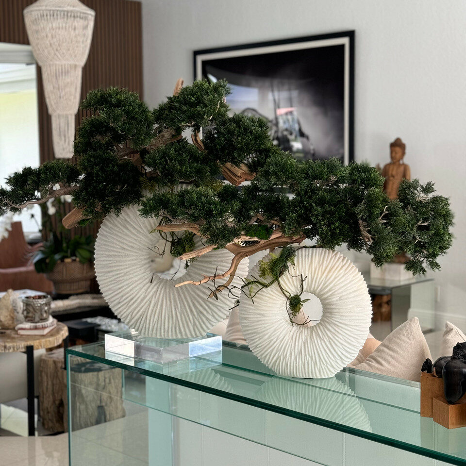 Large Eternity Vase with Trailing Bonsai Tree and Driftwood