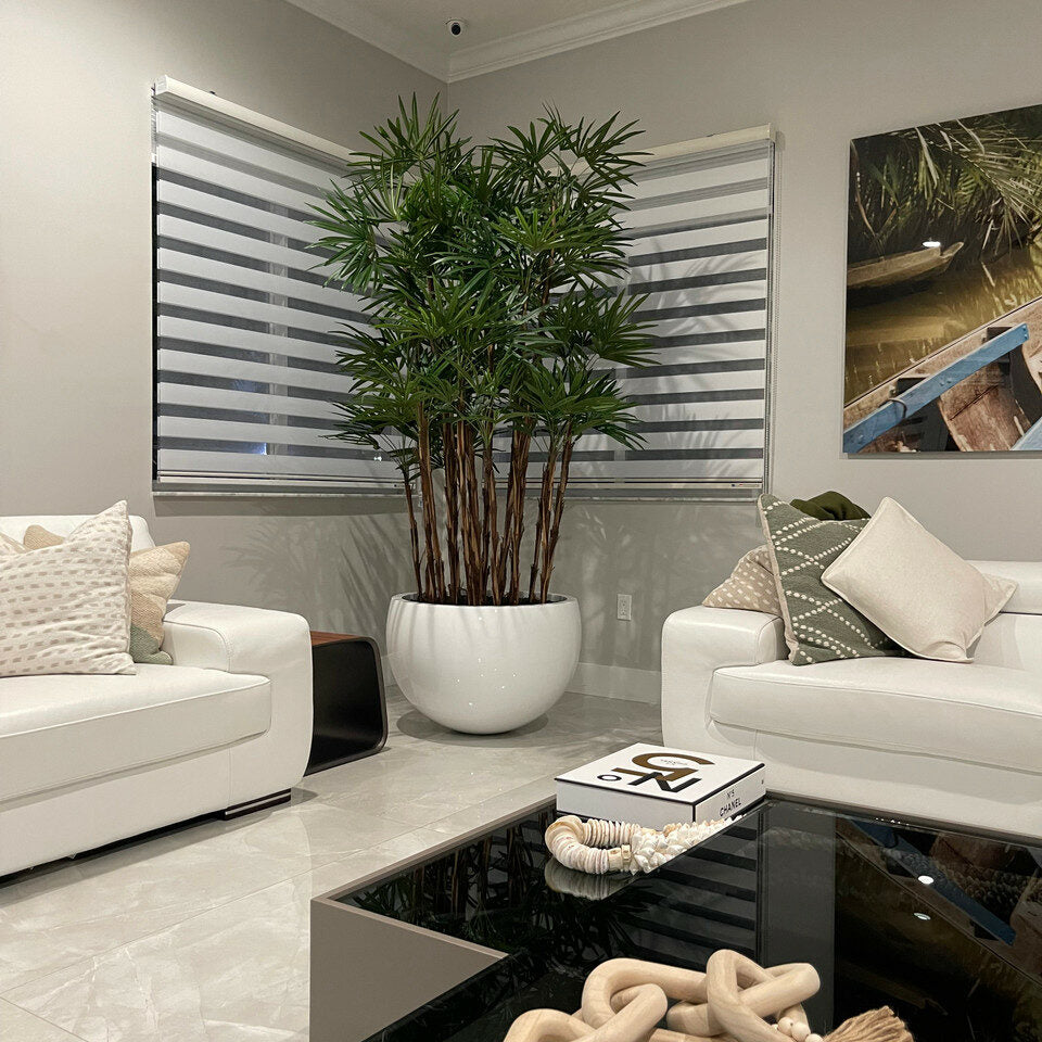 Trees and Plants White Terragona Planter with Lady Palm