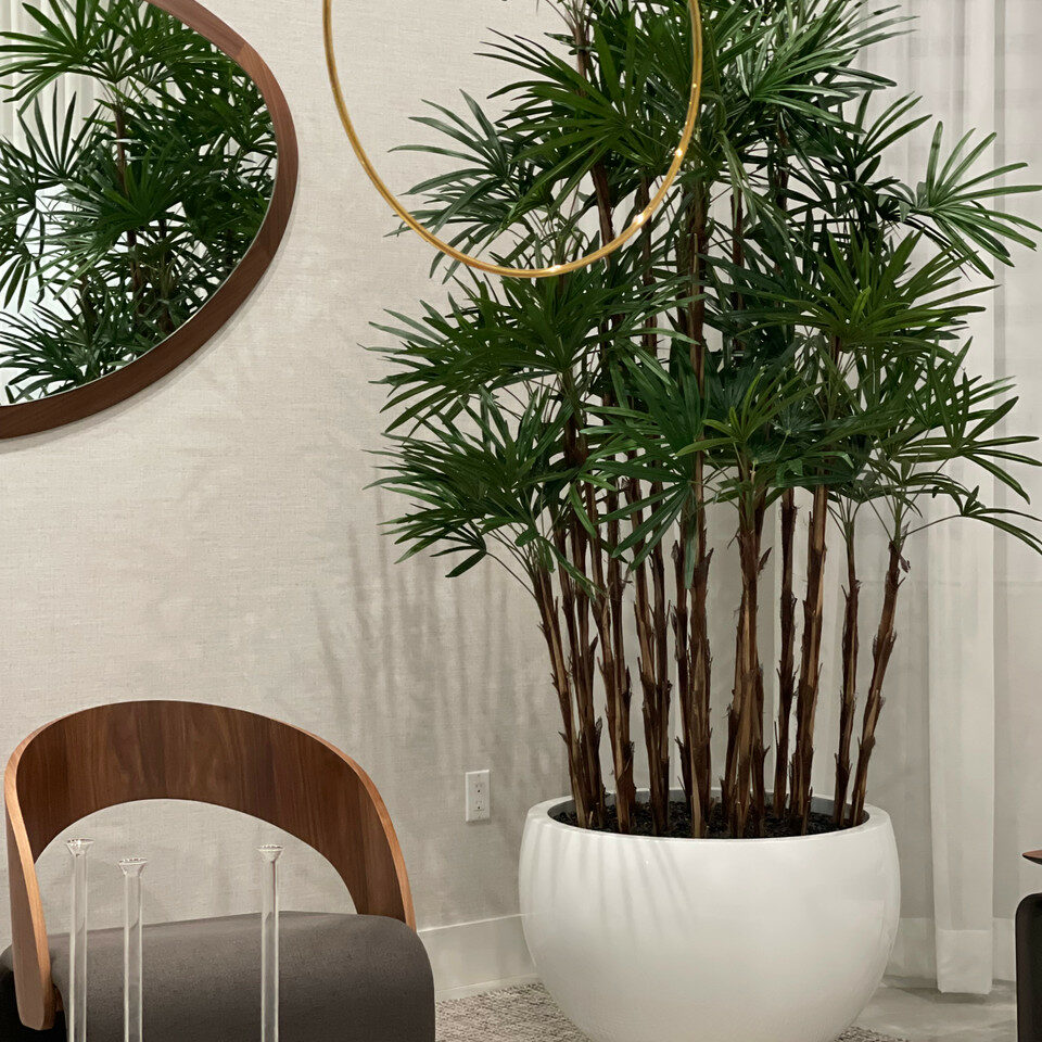 Trees and Plants White Terragona Planter with Lady Palm