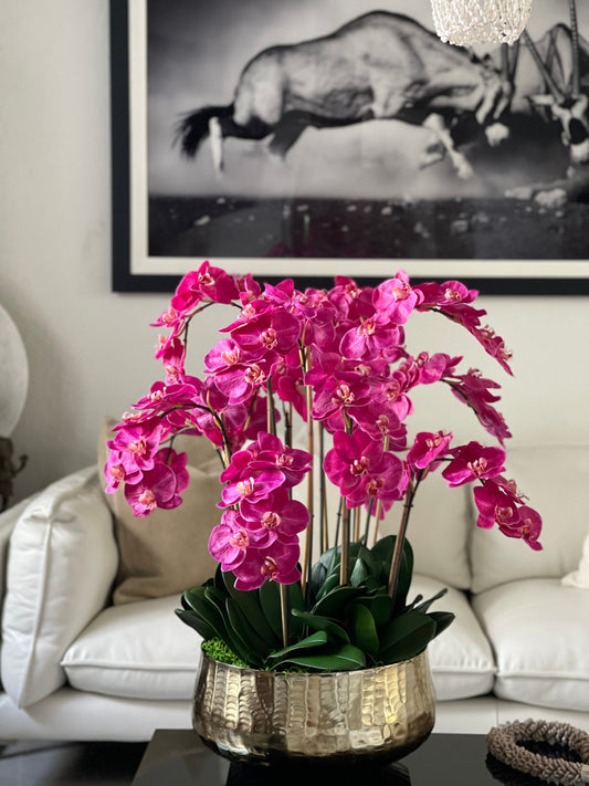 Pink Phalaenopsis Orchids Floral Arrangement in Medium Gold Planter