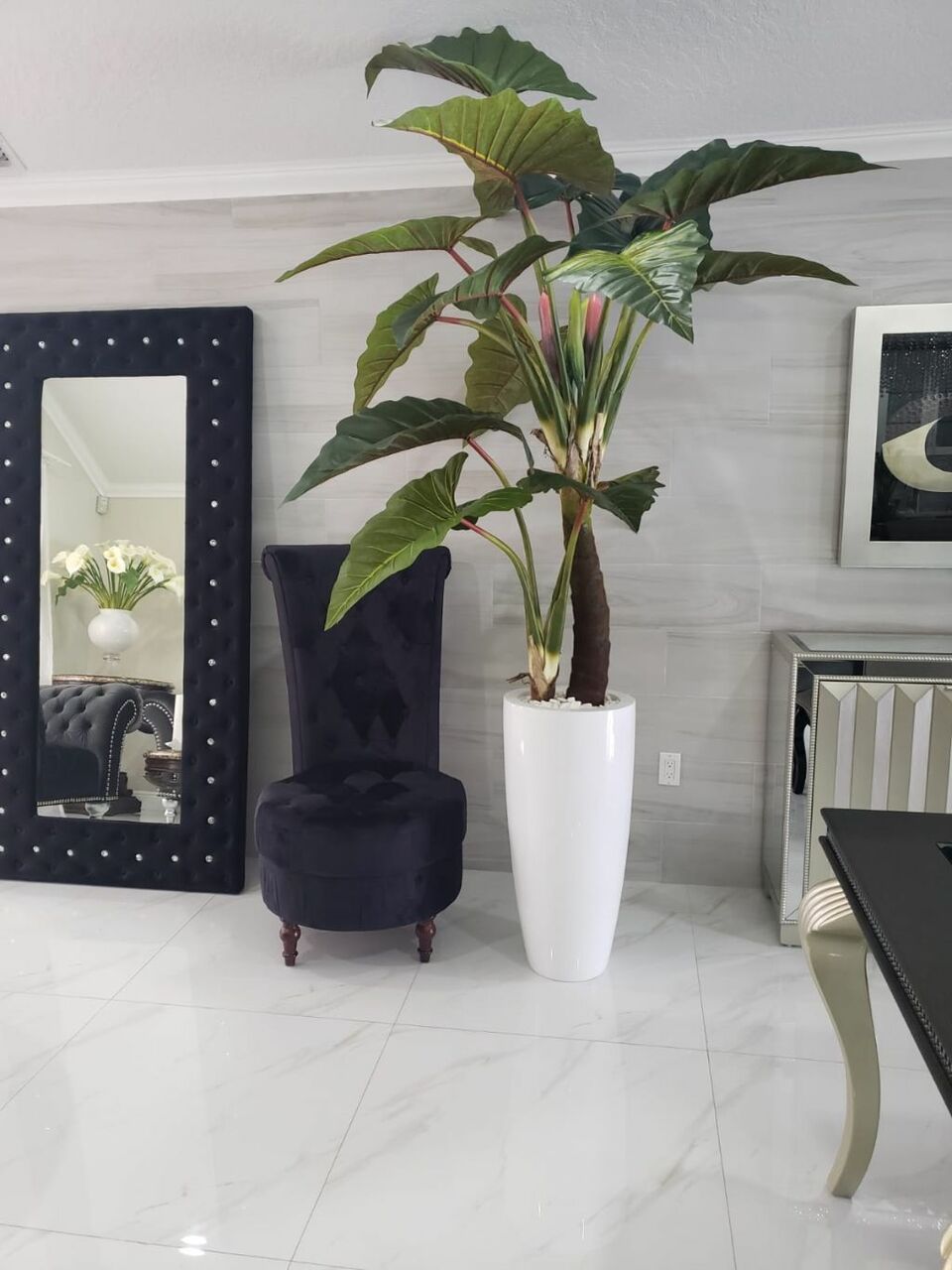 Red Prince Alocasia in Dax L glossy white planter