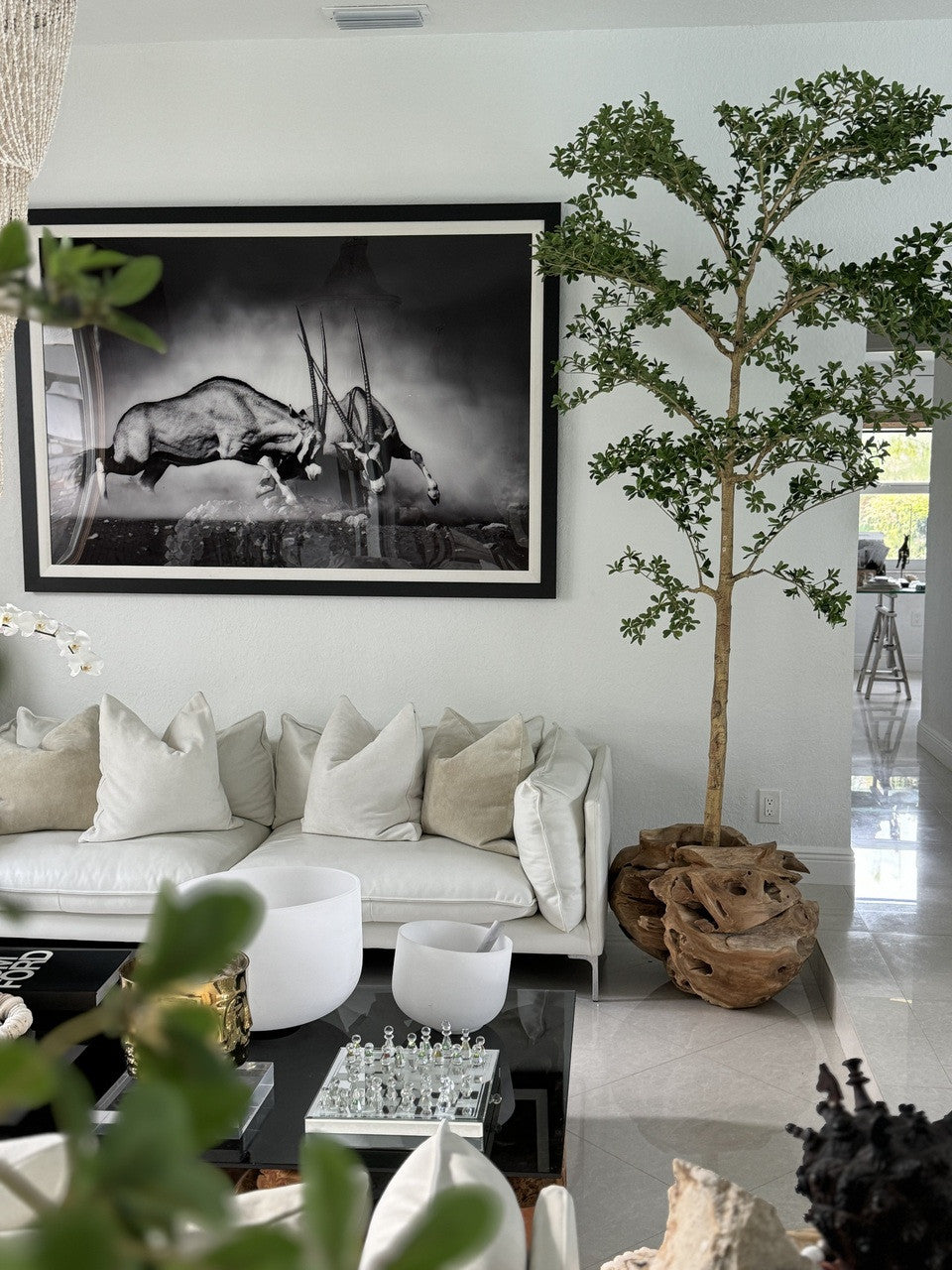 Jardinière unique en teck sculptée à la main avec arbre Shady Lady de 2,1 m