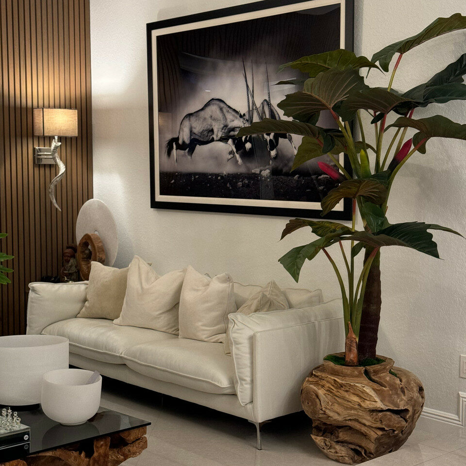 Oversized Teak Bowl with Alocacia Plant