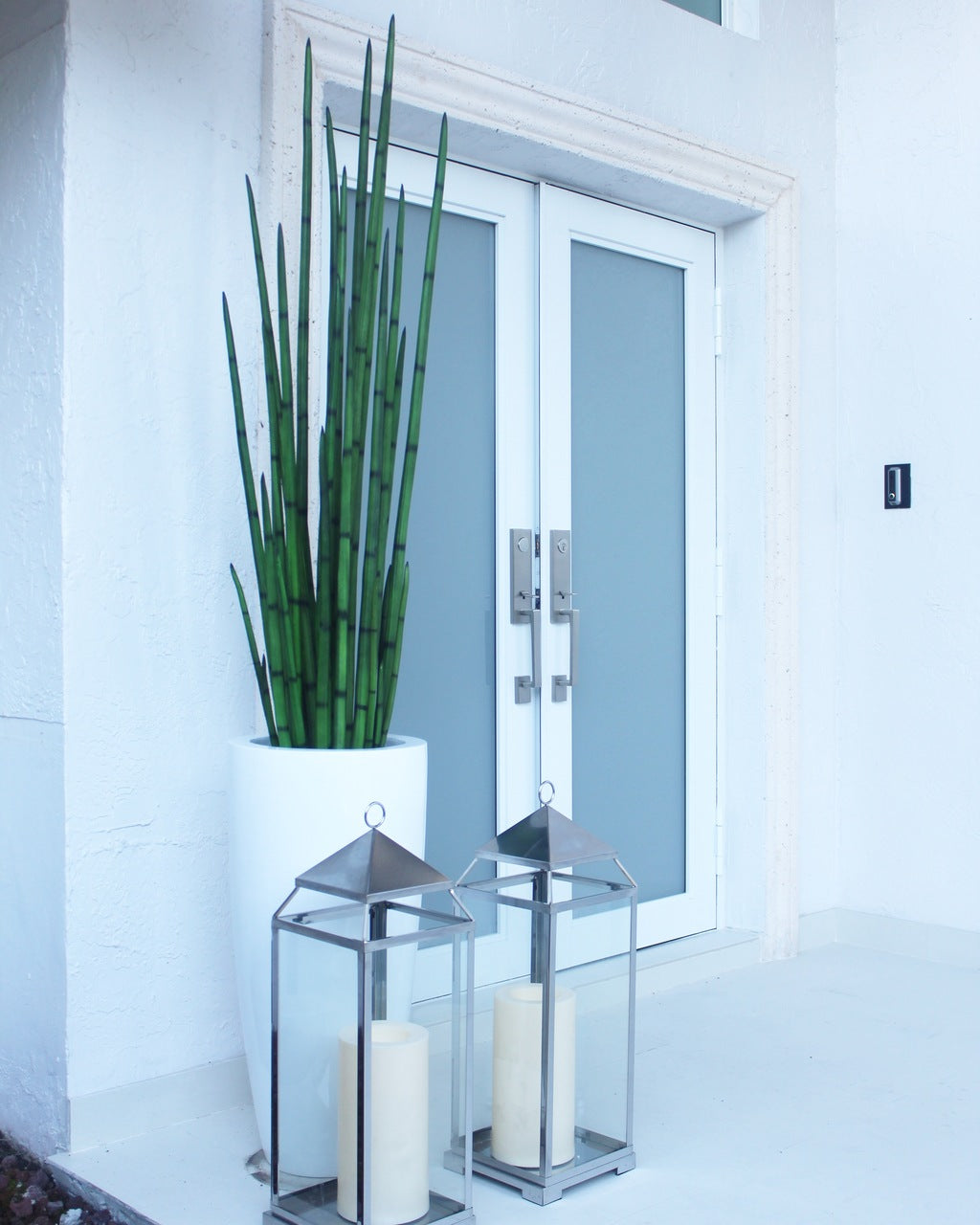 Snake grass (63″) with Dax L planter in glossy white