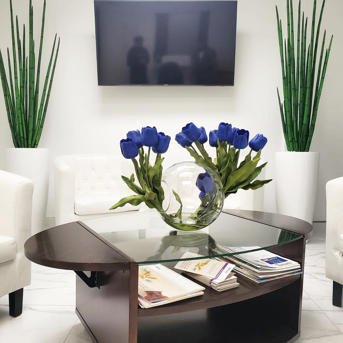 Snake grass (63″) with Dax L planter in glossy white