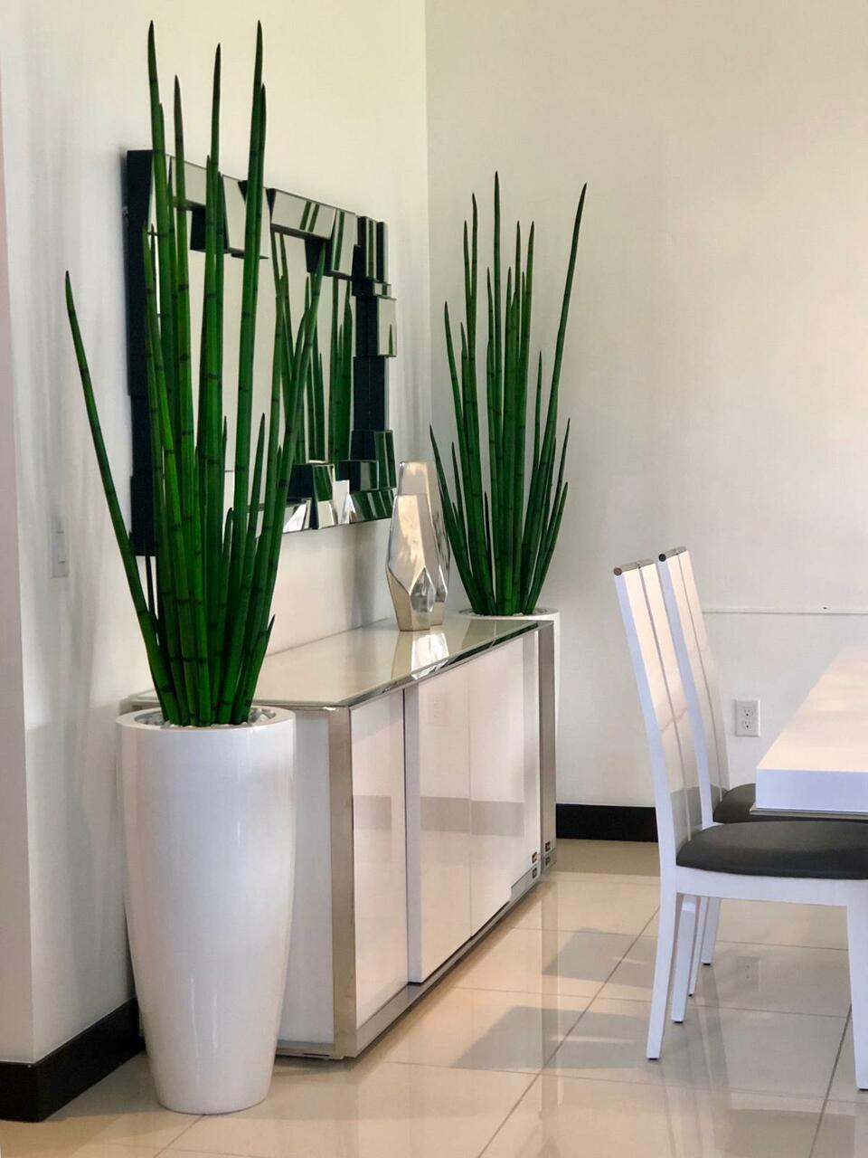 Snake grass (63″) with Dax L planter in glossy white