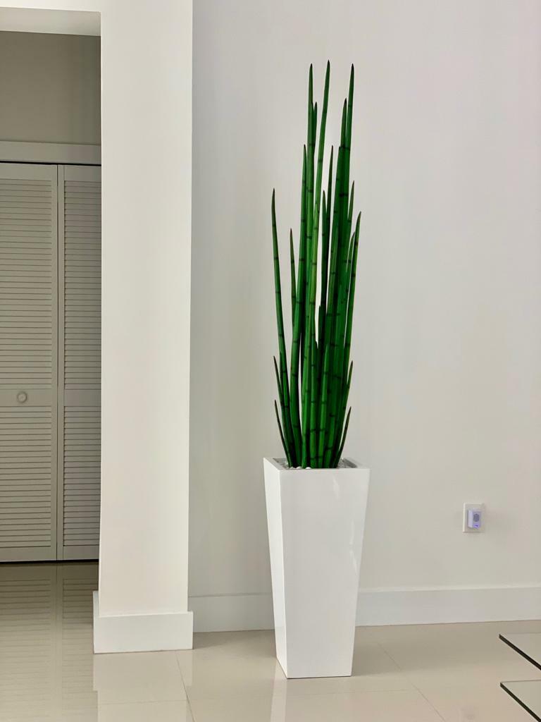 Snake grass (63″) with Beau M planter in glossy white