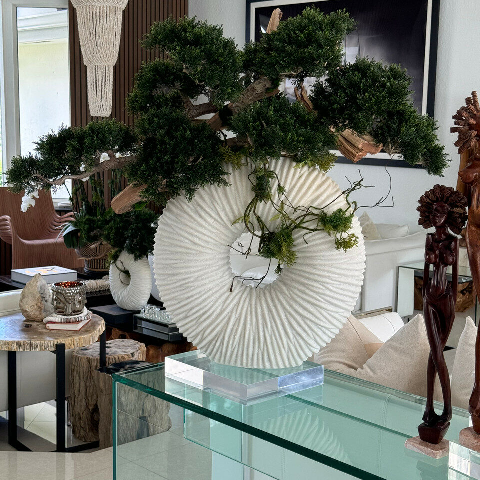 Large Eternity Vase with Trailing Bonsai Tree and Driftwood