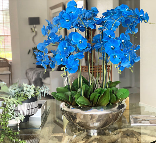 Bol Avenue avec des orchidées Phalaenopsis bleues