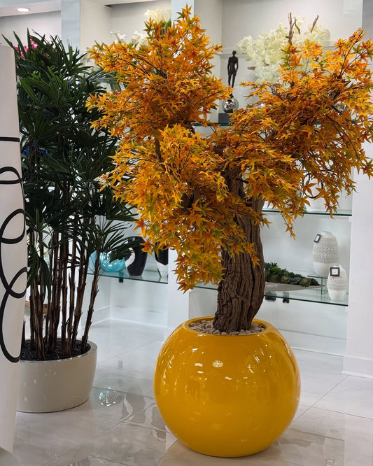 Golden Maple Tree in Dax L Glossy Yellow Planter