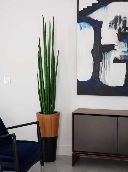 Snake grass (63″) with Lux planter in black